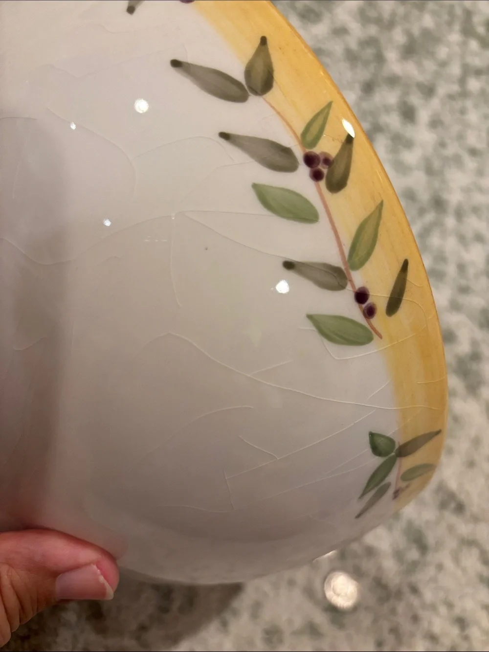 Crate & Barrel Olive Branch Ceramic Serving Bowl Yellow Green RS 9” Portugal